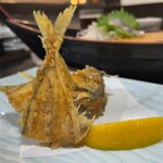 天然海水いけす海陽亭 - 