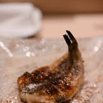 鮨 おとわ - "大眼靑眼魚（めひかり、=あをめえそ）"