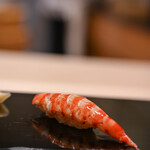 鮨 おとわ - "對蝦（くるまえび）"