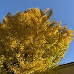 OGA BAR by 小笠原伯爵邸  - 