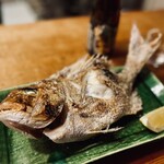 久鶴 - 本日のおすすめ 焼き鯛