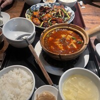 雪梅花 菜根譚 - 