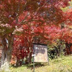そば切り こごろ - こごろ看板
