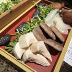 Shangri-La's secret - 