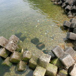 いっぷくどう -  