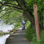 いっぷくどう - 沖島には乗用車が無くて、移動手段はもっぱら自転車です。しかもほぼ全て３輪自転車。