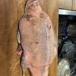 ジビヱ 岸井家 - 