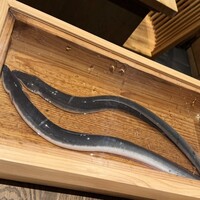 にょろ助 銀座 - うなぎ