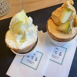 HAKONE DOLCE STUDIO STELLA - 