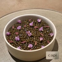 capi - 