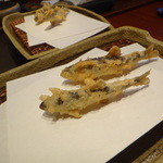 みかわ 是山居 -  季節物「稚鮎」