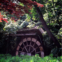 九つ井 本店 - 