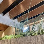 そばでおもてなし OLIMBA - 天井の見栄えがかっこいい