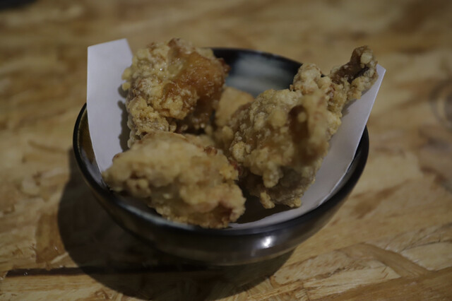 Horikawa Tori Iwa photo 3