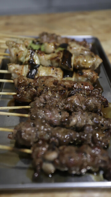 Horikawa Tori Iwa photo 5