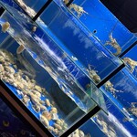 Lob Ho Tram Restaurant - 