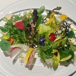 レフェルヴェソンス - 