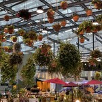 スターバックスコーヒー よみうりランドHANA・BIYORI店 - 