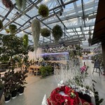 スターバックスコーヒー よみうりランドHANA・BIYORI店 - 