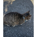 広ちゃん飯店 - 