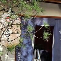 青山まんぷく - 