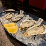 Oyster Bar MABUI - 