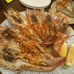 真夜中の太陽 - 