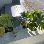 インデアンレストラン  ニューミラ - 