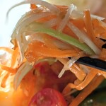 マンゴツリーカフェ - グリーンパパイヤのサラダ（ソムタム）3辛