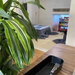 おうちごはん せきね - 