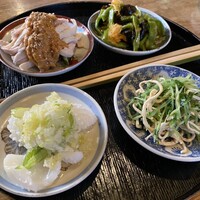 雪梅花 菜根譚 - 