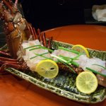 新和食 きくい - 