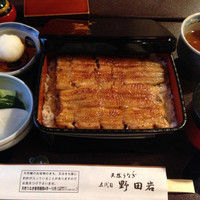 五代目 野田岩 麻布飯倉本店 - 鰻重 萩