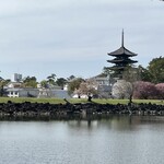 中國菜 奈良町 枸杞 - 近鉄奈良駅に向かう帰り道