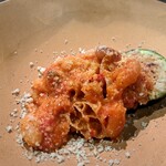 ベルソーニョ - トリッパ