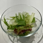 Risotto×魚介 Risoni - 