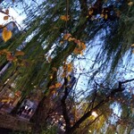 焼肉匠 覚王木屋町亭 - 