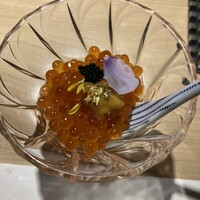 梅田 鮨 よこ田 - 