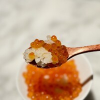 銀座 鉄板焼 向日葵 - 