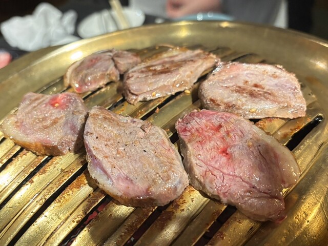 Sumibi Yakiniku Tougarashi photo 5