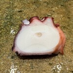 神田錦町 鮨たか晴 - 蛸（兵庫）