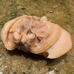 神田錦町 鮨たか晴 - 蛤（鹿島）