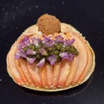 イル アオヤマ - 