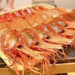 らんまる - ぼたん海老