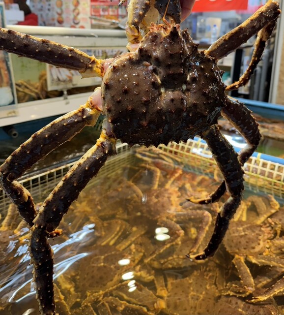 マルキ川嶋鮮魚店 - 小樽（その他）の写真