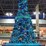 スーパーラウンジ - 2024/12/８