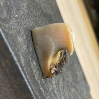 寿司赤酢 六本木 - 