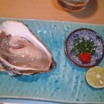 海喜山有 あおうみ - 岩牡蠣