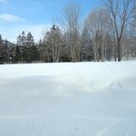 朱鞠内湖そばの花 -  窓越しの風景