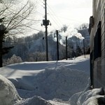 朱鞠内湖そばの花 -  早春ですが－20度の朝でした